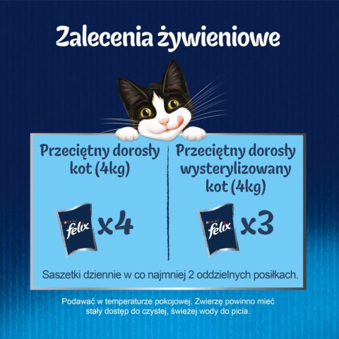 Felix Fantastic Junior W Galaretce 12x85g