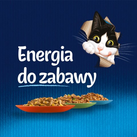 Felix Fantastic W Galaretce Z Kurczakiem I Wołowiną 4x85g