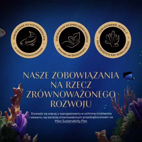 Sheba Kitten Wybór Smaków W Sosie Karma Dla Kociąt 40x85g